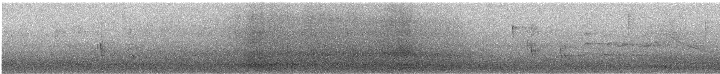 Серый шелкохвост - ML152268171