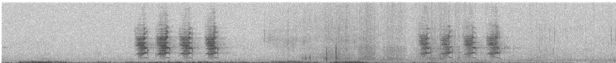 Geai de Steller (groupe coronata) - ML152326421