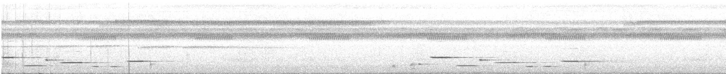 Troglodyte arada - ML152336201