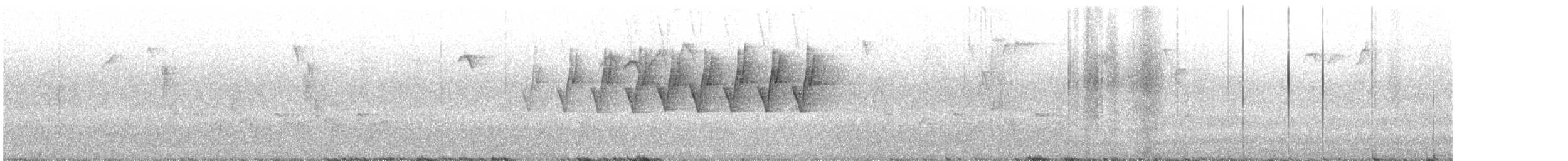 Protonoter Ötleğeni - ML152347231