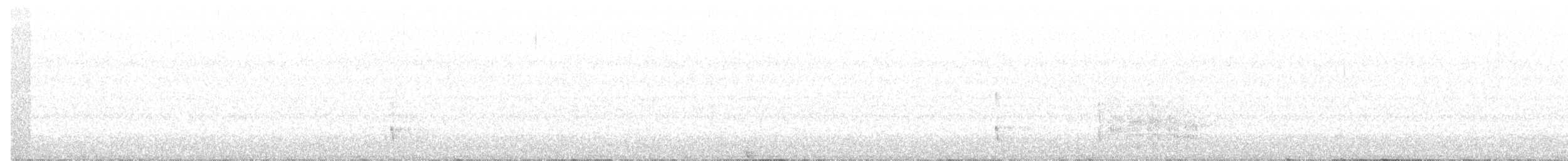 svartryggspett - ML152381201
