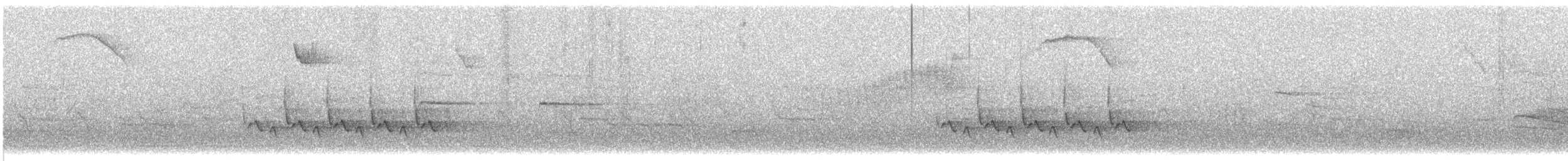 Поплітник каролінський - ML152391591