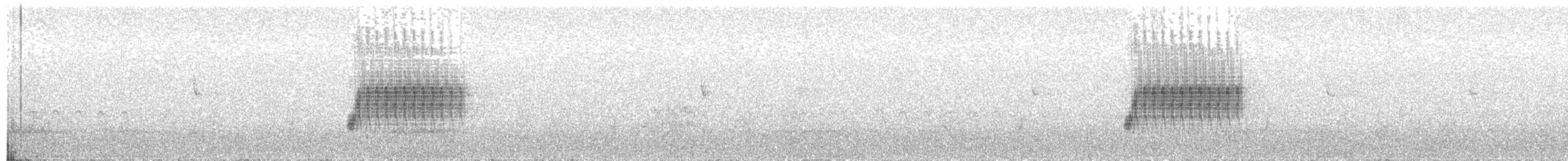 Тауї плямистий - ML152410451