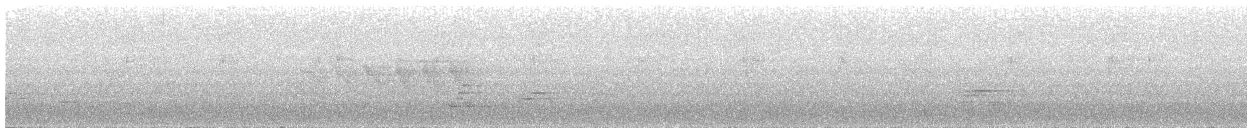 Пятнистый соловьиный дрозд - ML152456981