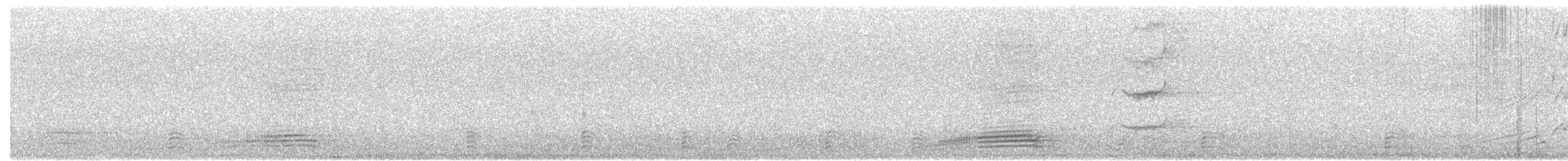 Maned Duck - ML152467261