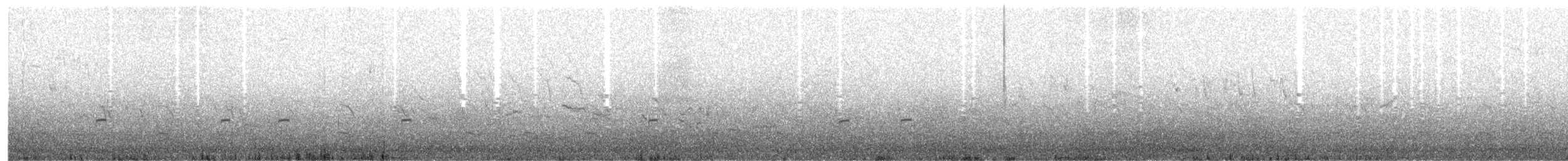 Малый зуёк (curonicus) - ML152491571