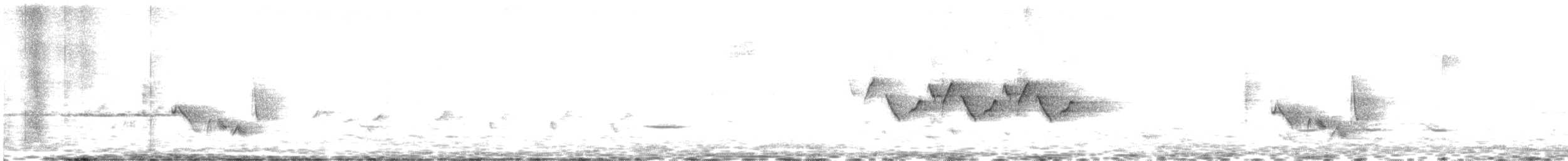 Vireo Ojiblanco - ML152493341