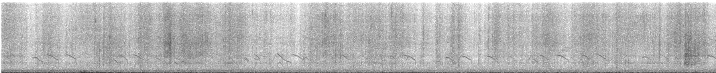 Spotted Wood-Quail - ML152504121