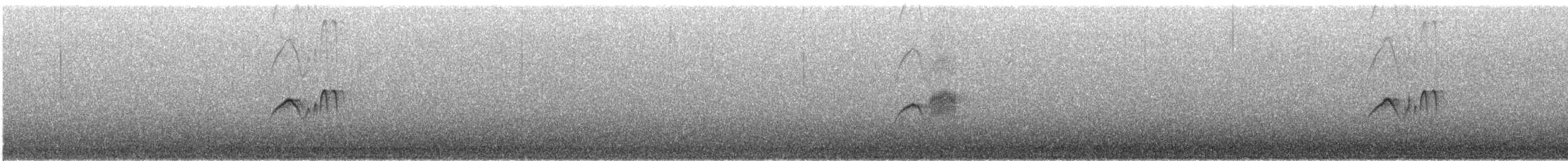 Светлобрюхий фиби - ML152525791