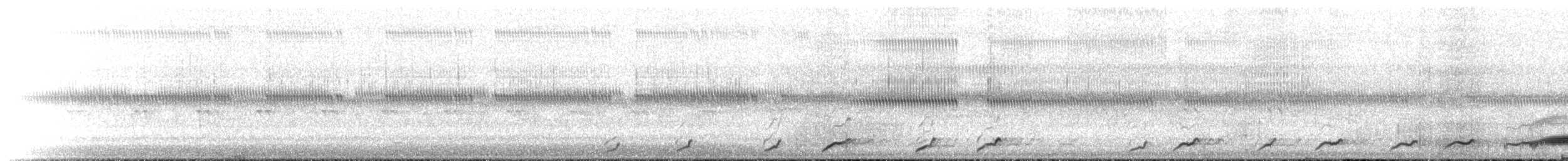 Common Pauraque - ML152562491