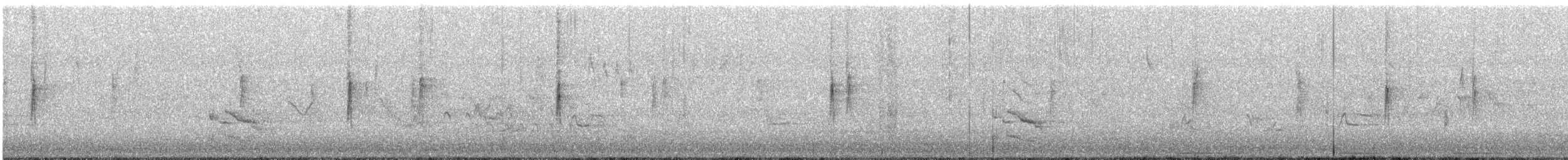 Taçlı Ötleğen (coronata x auduboni) - ML152575391