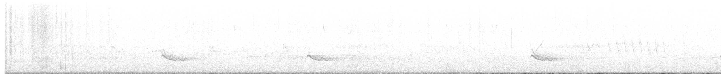 østblåfugl (guatemalae gr.) - ML152591451