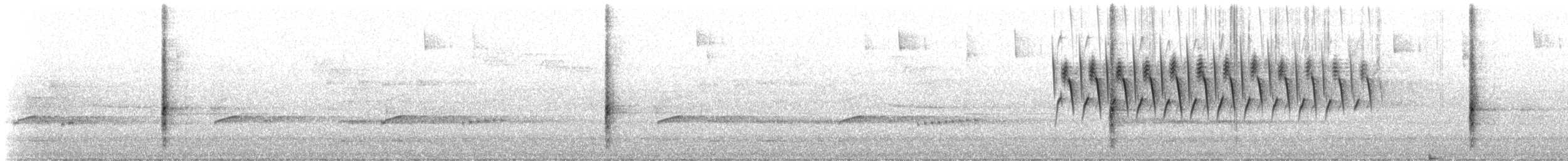Al Kanatlı Karatavuk [phoeniceus grubu] - ML152624601