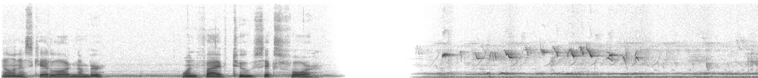 Abert's Towhee - ML15264