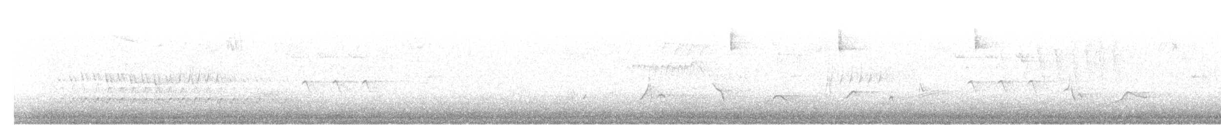 Черноголовый толстонос - ML152697841