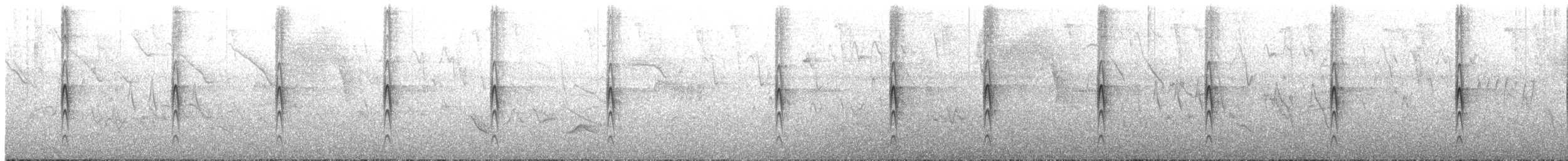 Çizgili Büyük Tiran - ML152720161