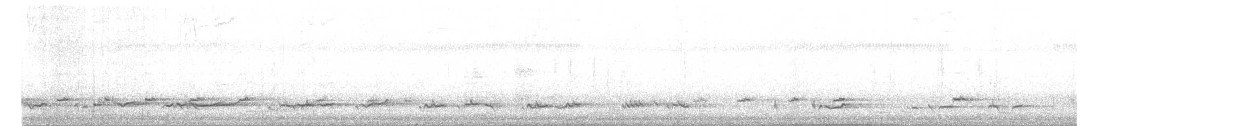 Пестроспинный медосос - ML152731231
