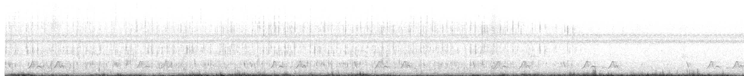 Carolinanachtschwalbe - ML152739241