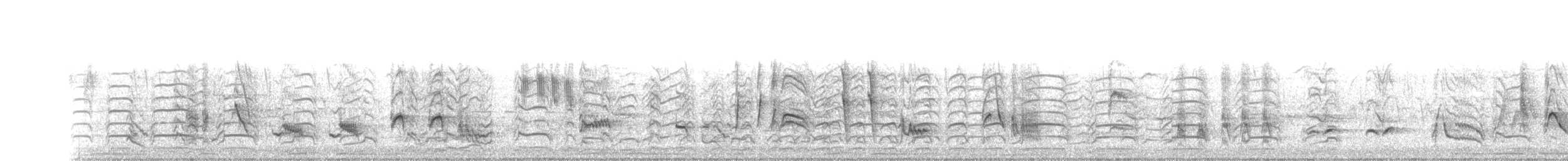 Langschnabel-Spottdrossel - ML152754601