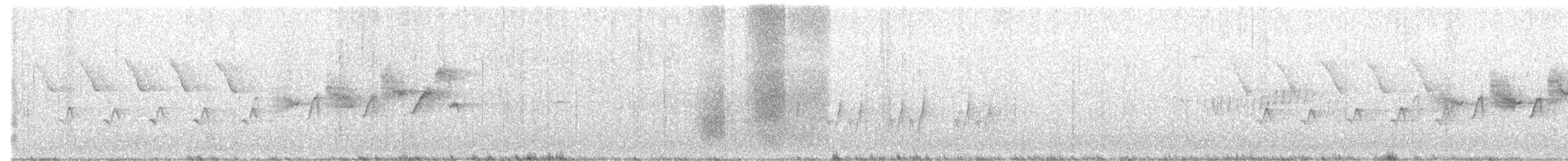 Black-throated Gray Warbler - ML152779721