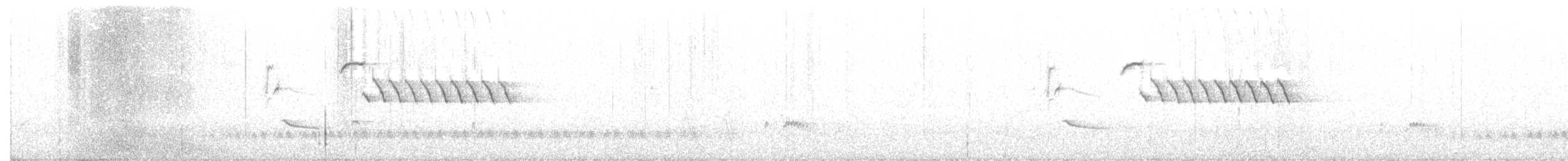 Bewick Çıtkuşu [mexicanus grubu] - ML152804901