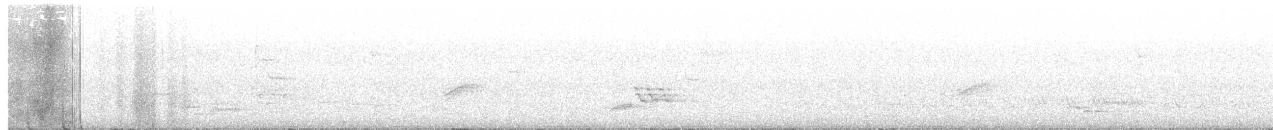 Wood Thrush - ML152877271