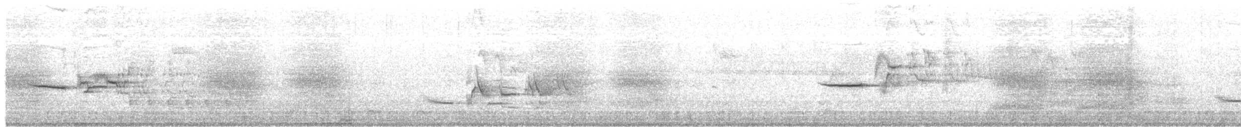 Münzevi Bülbül Ardıcı - ML152903301