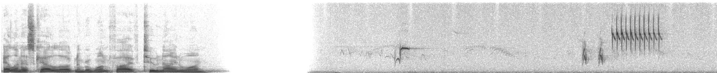 Тауї плямистий x окаї - ML15291