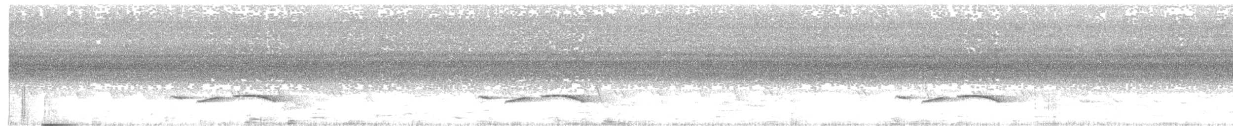 Streifenbrust-Erddrossling - ML152969151