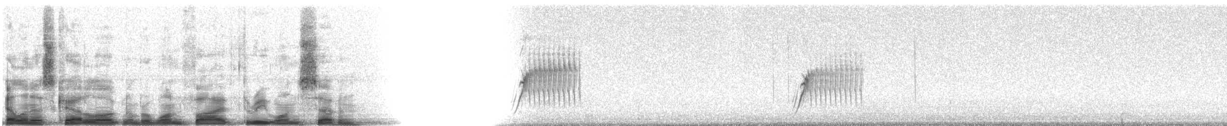 Spotted Towhee - ML15317