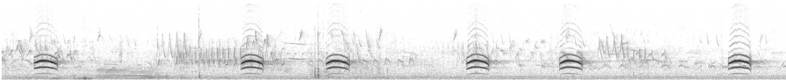 Weißbrustkleiber (aculeata/alexandrae) - ML153207951