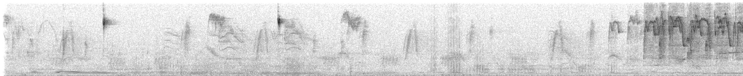 Bridled Sparrow - ML153248251