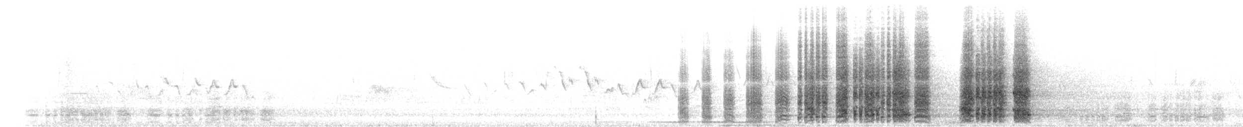 Ortalide de Wagler - ML153248731