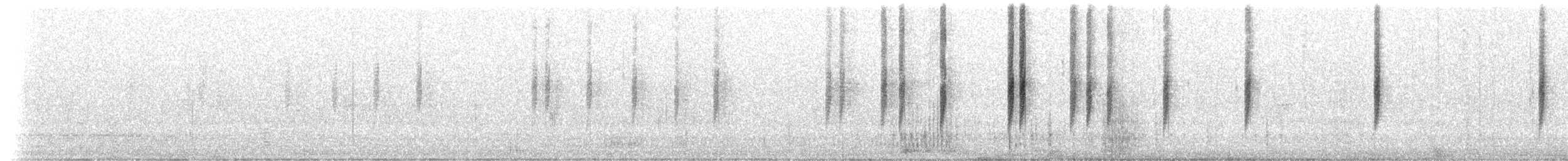 Dusky Hummingbird - ML153251061