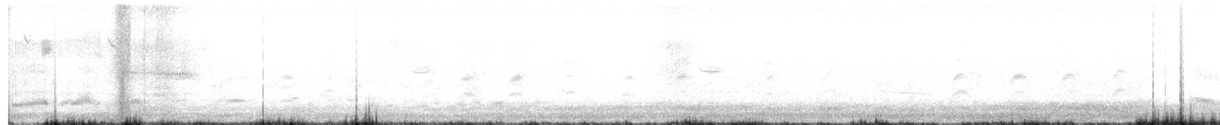 Бонапартова чайка - ML153259121