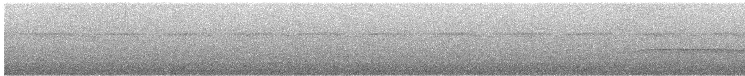Troglodyte siffleur - ML153303691