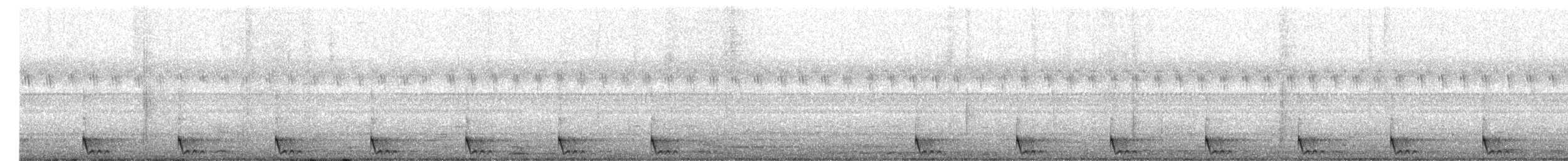 Langschwanz-Nachtschwalbe - ML153305871