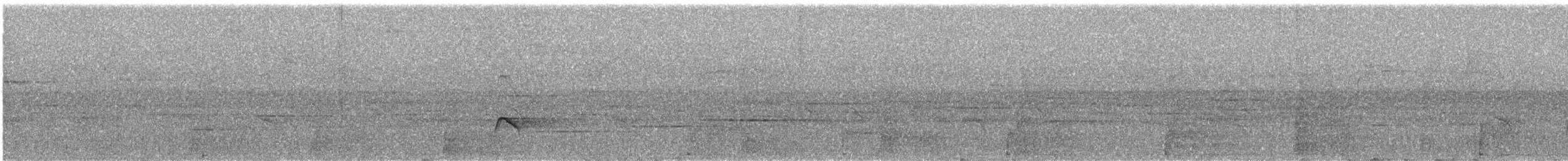 Weißstreif-Kleintyrann - ML153360211