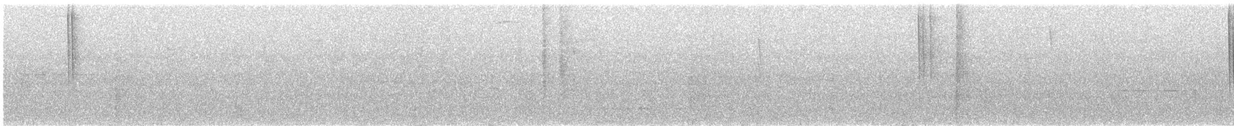 Violettdegenflügel - ML153360321