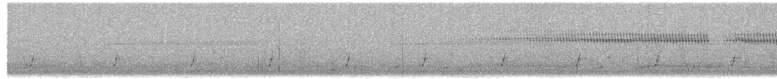斑胸秧雞 - ML153380611