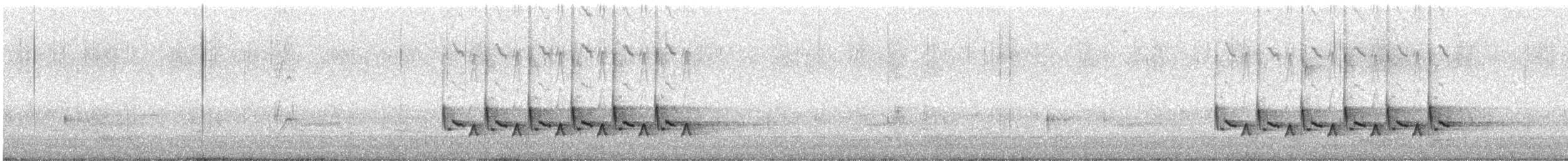 střízlík karolínský - ML153406261