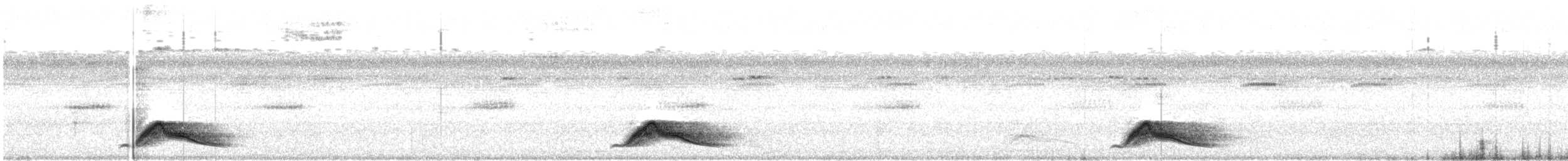 Common Pauraque - ML153432331