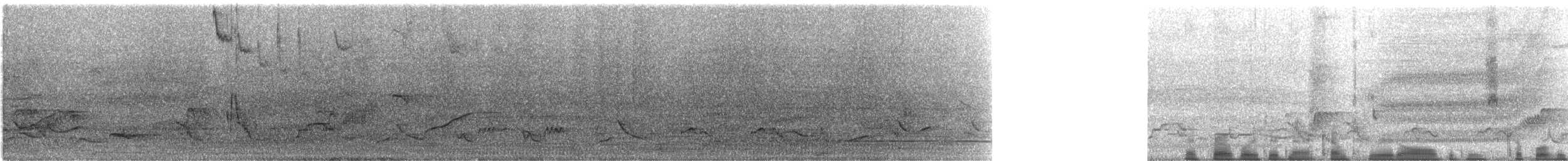 Colibri à queue singulière - ML153467451
