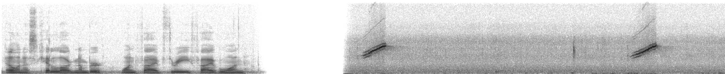 Rötelgrundammer - ML15351