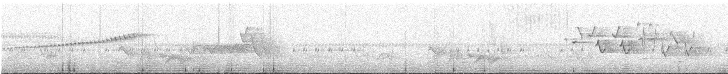 Prairie Warbler - ML153560671
