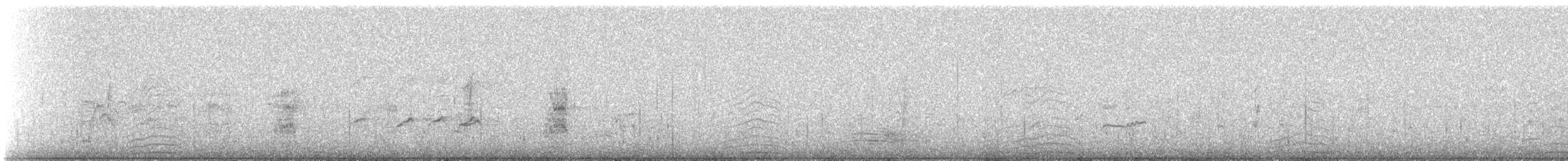 Sterne à longues pattes - ML153684031