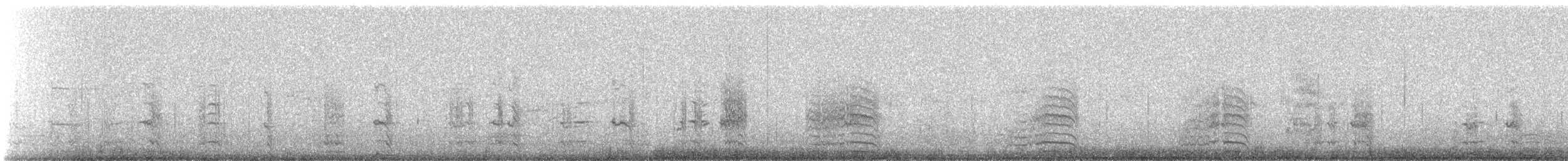 Sterne à longues pattes - ML153684081