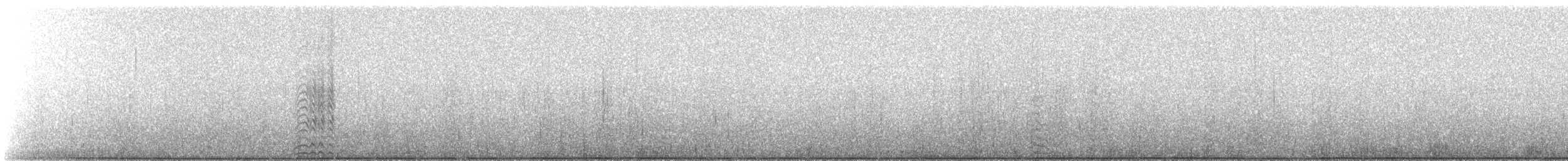 Sterne à longues pattes - ML153684271