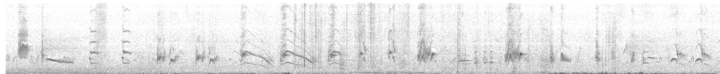 California Thrasher - ML153704581