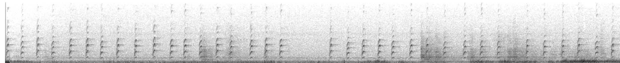 Schwarznacken-Stelzenläufer - ML153764301